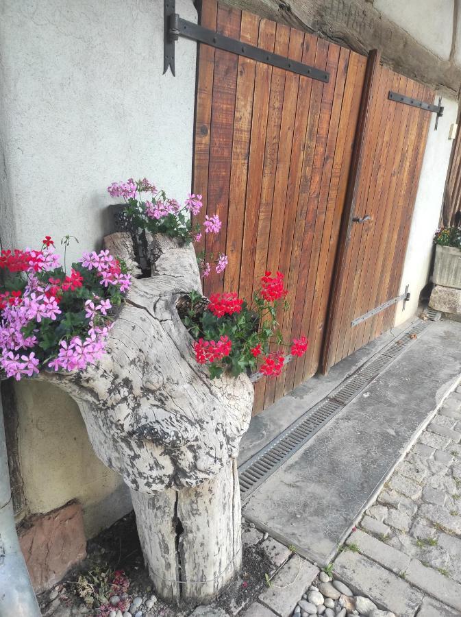 Gite De Peupliers Valdieu Buitenkant foto